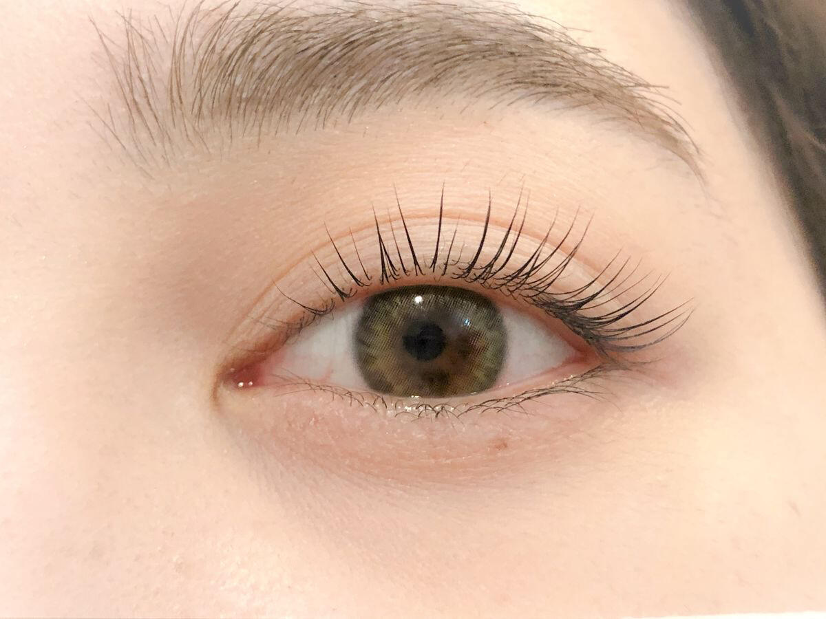 Keratin Lash Lift for Naturally Curled Lashes Eyelashes post keratin lash lift, appearing naturally curled and lifted.